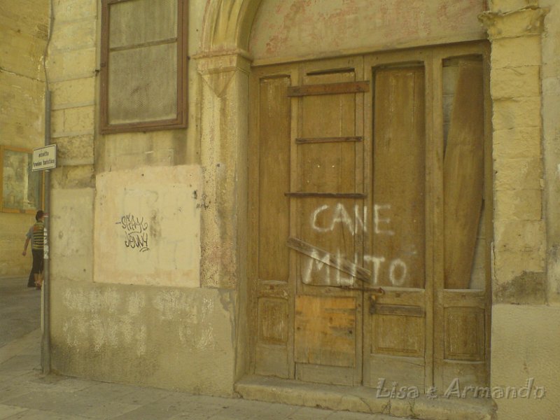cane muto.JPG